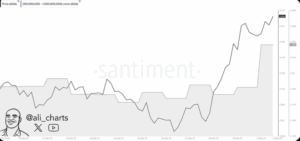 Cardano Whale Accumulation 