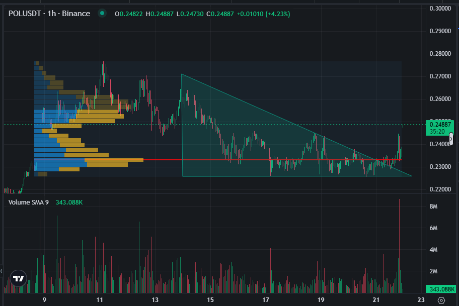 Polygon price chart | Source: Coinglass