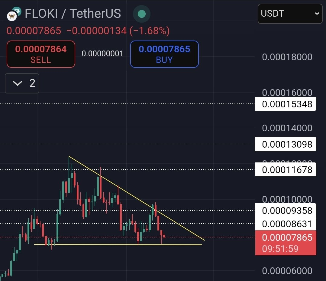 FLOKI Crypto Price Chart