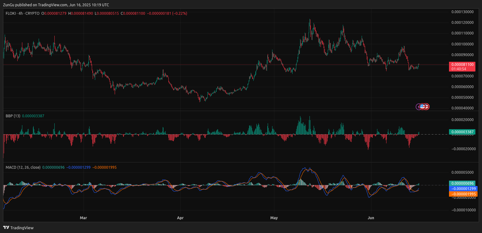 floki coin price chart
