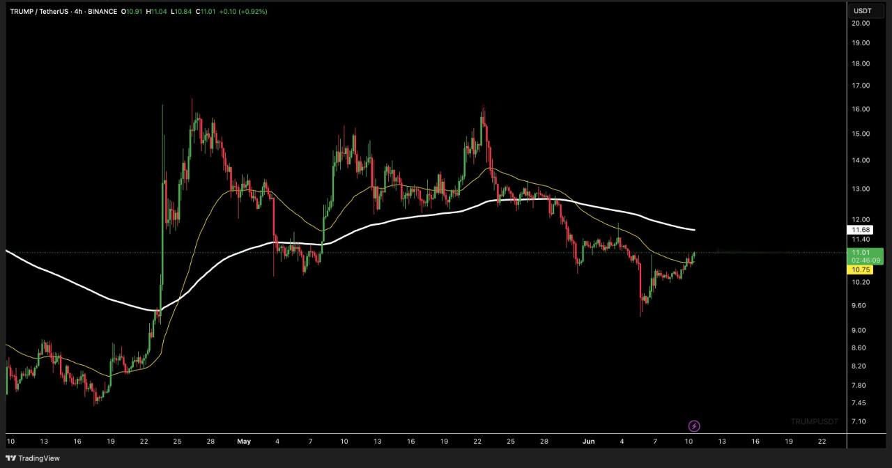 TRUMP coin price