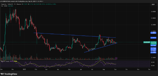도지코인의 현재 가격 움직임과 RSI 수치 | 출처: 트레이딩뷰